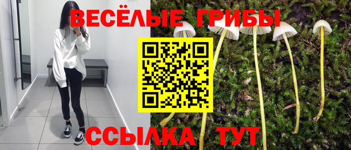 Тихвин  Псилоцибиновые грибы Magic Shrooms  Вход с VPN 