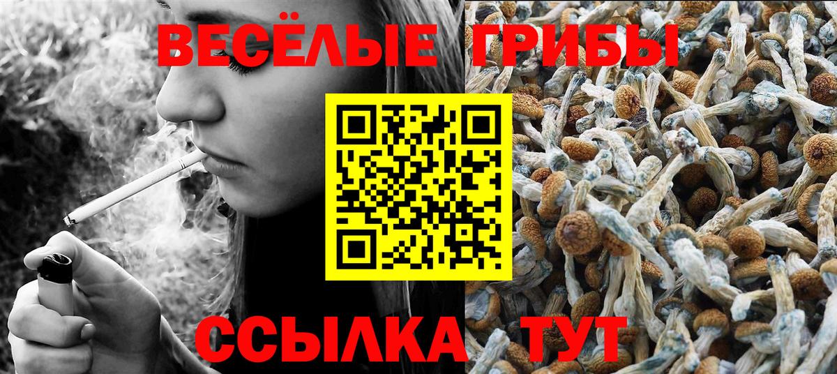 Псилоцибиновые грибы GOLDEN TEACHER Тихвин